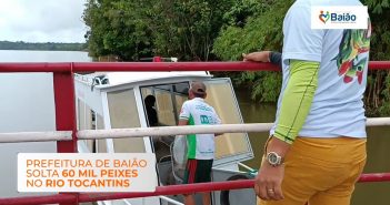 Prefeitura de Baião solta 60 mil peixes no rio Tocantins