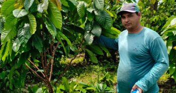 Orientação Técnica e Extensão Rural