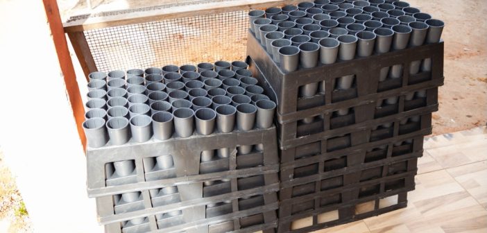 Prefeitura de Baião implanta viveiro de mudas para fortalecer a produção rural e preservar o meio ambiente